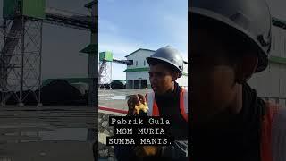 MURIAH SUMBA MANISMSM SUMBA TIMUR