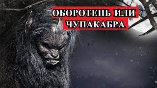 Страшная История - Оборотень или чупакабра?