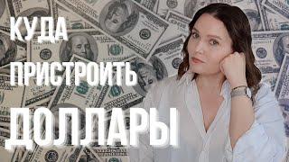 Что делать с долларами сейчас? Семь вариантов куда деть доллар в 2022