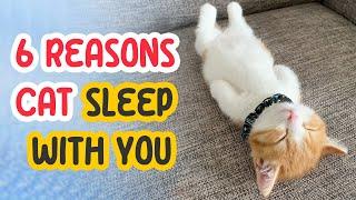 6 Reasons Cat Loves to Sleep With You 