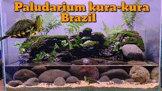 Cara membuat paludarium Kura-Kura Brazil @siekomar