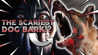 TOP 10 SCARIEST DOG BARKS Which Breed Has The Loudest Scariest Bark?