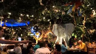 Rainforest Cafe Downtown Disney Walt Disney World Resort