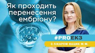 Як проходить процедура перенесення ембріону?