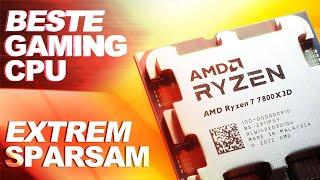 Die BESTE GAMING CPU mit kleinem NACHTEIL — AMD Ryzen 7 7800X3D