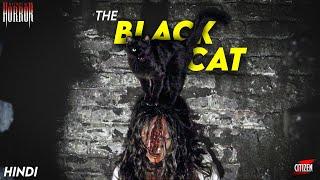 Mystery Of The Black Cat  MASTERS OF HORROR - S2 EP11 - Explained In Hindi