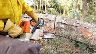 This Technique Could Save Your Chainsaw