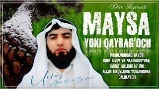 Maysa va qayragoch. Ustoz Abdulloh Zufar #mōminning_hayoti