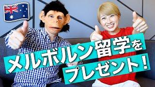 突然ですが... メルボルン留学をプレゼント！人生が変わるきっかけになるかも〔#851〕