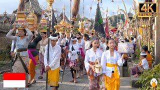 Galungan and Kuningan Bali The Most Important Festival in Bali 4K HDR