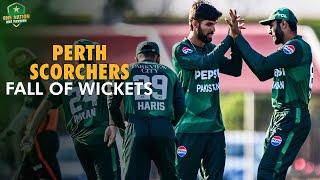 Perth Scorchers Fall of Wickets against Pakistan Shaheens  Top End T20 Series 2024