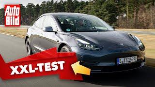 Tesla Model 3 2022  Ist das Tesla Model 3 das beste E-Auto?  Kaufberater