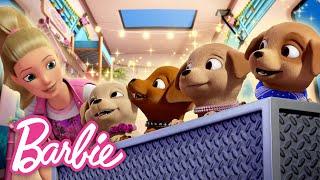 The Best Moments from Barbie & Her Sisters in a Puppy Chase