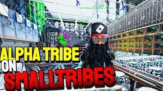 This is what its Like to be Alpha in 2023 on SMALLTRIBES ARK OFFICIAL SMALLTRIBES