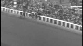 Seabiscuit vs. War Admiral - 1938 Match Race Pimlico Special