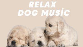 （8時間広告のないヒーリング音楽）犬のための音楽 - 外出するとき気楽に行って来てください - 睡眠音楽 - 犬が好きな音楽