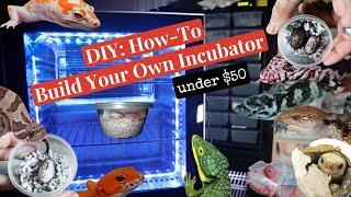 How to Make Your Own Reptile Incubator for less than $50 in materials