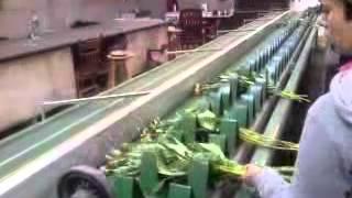 Peony Cut-flowers Packing for wholesale flower market