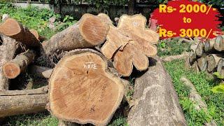 Teak Wood  l  Teak Wood Price  l  Sagwan Wood Price in India  l  Burma Teak Wood