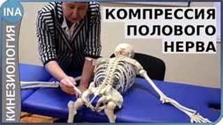 Запись 29‑я. Конспект Нити на лице. Ростки. Противоестественная компрессия