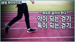 내 몸에 약이 되는 걷기 대체 어떻게 걸어야 할까? KBS_2019.11.06 방송