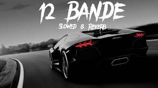 12 Bande Slowed & Reverb - Varinder Brar