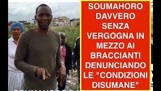 SOUMAHORO DAVVERO SENZA VERGOGNA IN MEZZO AI BRACCIANTI DENUNCIANDO LE CONDIZIONI DISUMANE