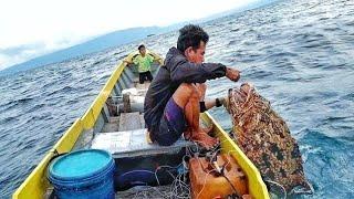 TAK DI SANGKA MANCING IKAN DI SPOT BARUternyata sarang ikan kerapu taiger babon