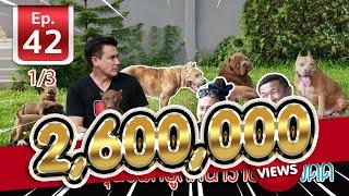 Pitbull สุนัขพิทบูล หน้าร้าย ใจดี - เ​พื่อนรักสัตว์เอ๊ย EP.42 13