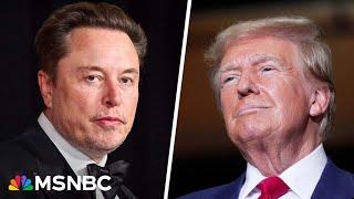 An embarrassing spectacle how Elon Musk transformed X into a political tool for Trump