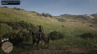 Rdr2 Online