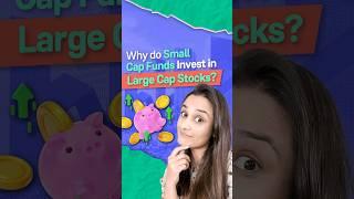 Why Do Small Cap Mutual Funds Invest in Large-Cap Stocks?