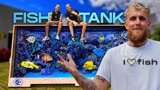 We Built Jake Paul a Custom Aquarium For His Puerto Rico Home