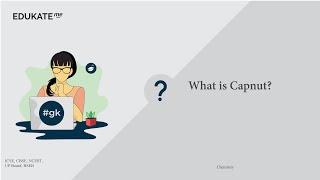What is Capnut?