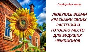 Одной красотой сыт не будешь Освобождаю место для приоритетных растений №58724