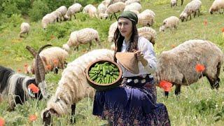 Nomadic life of IRAN Cooking Dish Called Dolme in Mountain village