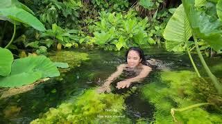 Berenang dan petik sayuran di sungai jernih pinggiran hutan