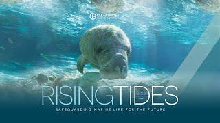 Rising Tides Safeguarding Marine Life for the Future