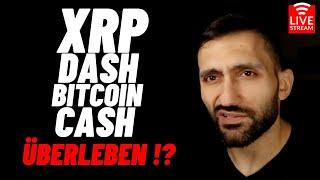 XRP DASH & BCH im nächsten BULLRUN ?