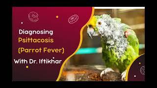 Understanding Psittacosis Parrot Fever Causes Symptoms and Treatment