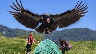 Biggest Birds Ever Captured On Camera