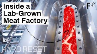 Large-scale lab-grown meat Step inside a cultivated meat factory  Hard Reset