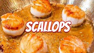 Watch This If You Struggle With Scallops