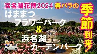 【浜名湖花博2024】はままつフラワーパーク、浜名湖ガーデンパークの両施設の春バラを一挙ご紹介。