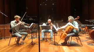 Claus-Steffen Mahnkopf - Con Luigi Nono for string trio 2017 - Ensemble Contrechamps