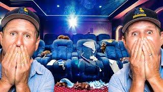 $100000 home theatre being DESTROYED by mice...