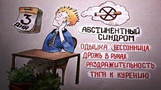 Что становится с легкими после курения? Какие болезни появляются от курения.