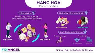 HÀNG HOÁ LÀ GÌ?  GIAO DỊCH HÀNG HOÁ NHƯ THẾ NÀO?  Finangel