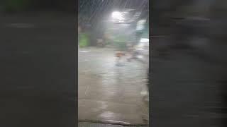 lakas ng ulan at kumikidlat na. Pero enjoy parin sila maligo kahit Gabi narin