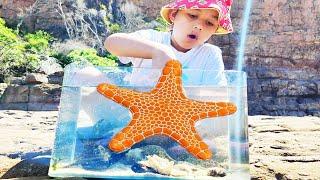 Making A Rock Pool Aquarium  With Sea Creatures